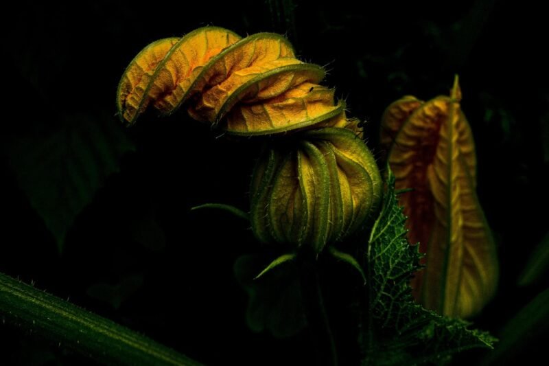 Understanding Alteryx Server Cost: A Comprehensive Guide