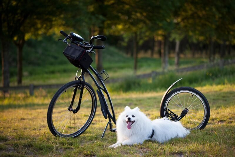 LMS for Training Companies: Transform Your Learning Experience